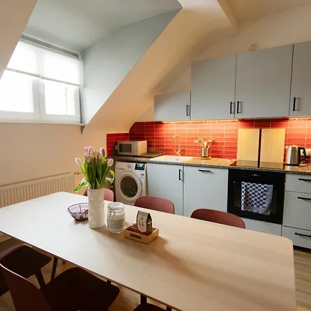 Big Flat With Fresh Renovation, Free Parking, Sonyps, Netflix Apartment