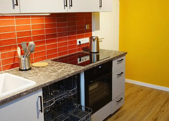 Big Flat With Fresh Renovation, Free Parking, Sonyps, Netflix 公寓 杜伊斯堡