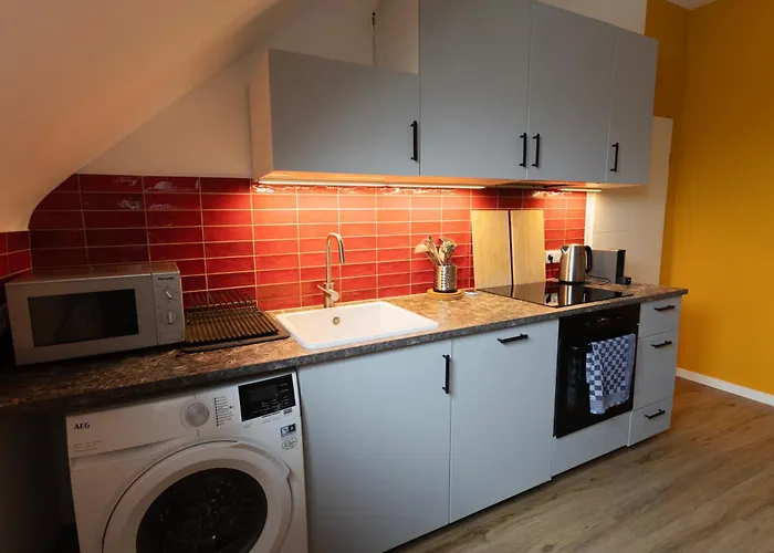 Διαμέρισμα Big Flat With Fresh Renovation, Free Parking, Sonyps, Netflix Ντούισμπουργκ